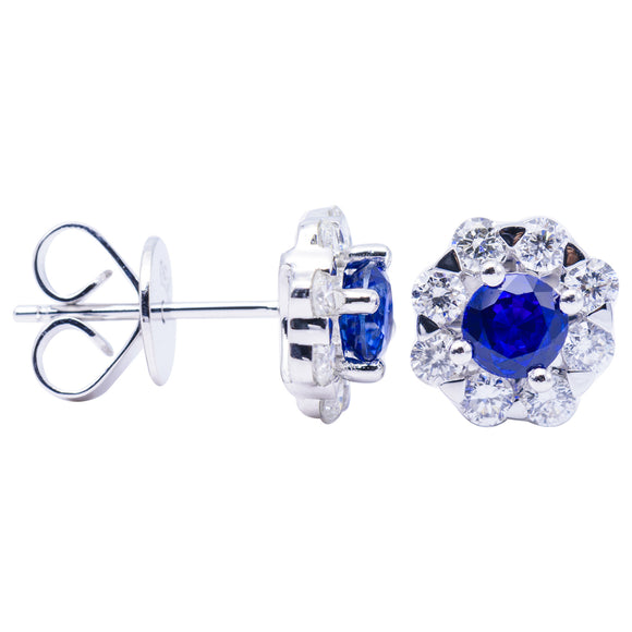 Matheu's Sapphire 14k White Gold Diamond Rim Earrings ASE153918