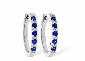 Allison Kaufman 14KT Gold Sapphire & Diamond Earrings ER813