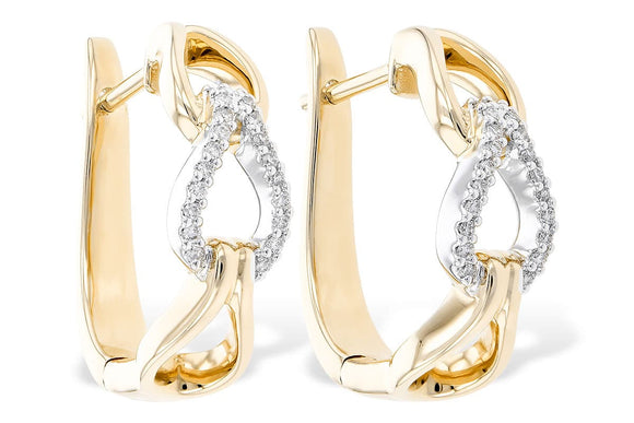 14KT Gold Earrings - A328-08162_YW
