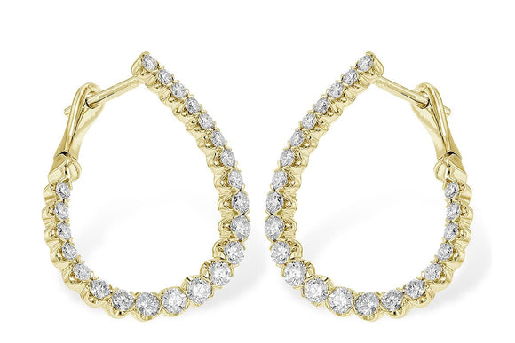 14KT Gold Earrings - B328-00853_Y
