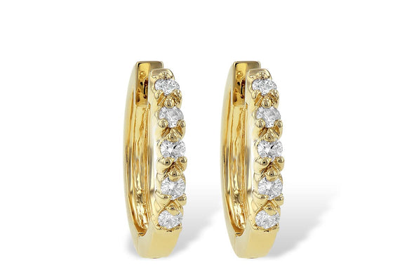 14KT Gold Earrings - C056-21744_Y
