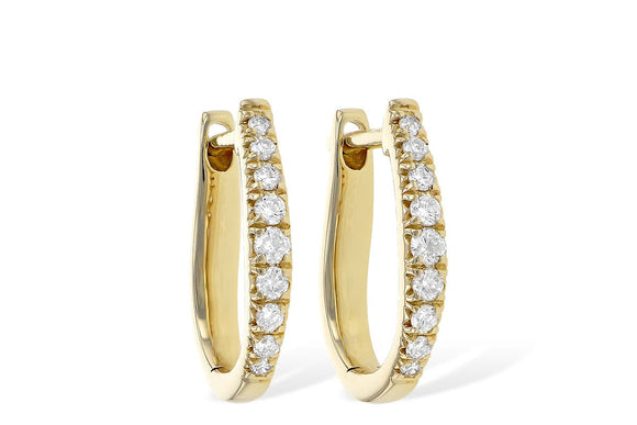 14KT Gold Earrings - C245-30889_Y