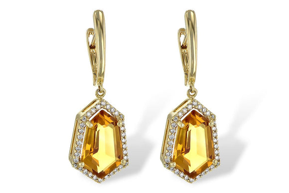 14KT Gold Earrings - D245-29044_Y
