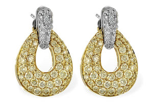 14KT Gold Earrings - F244-43625_T