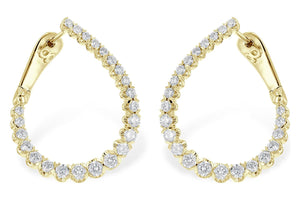 14KT Gold Earrings - G328-06280_Y