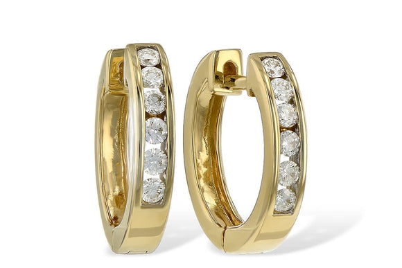 14KT Gold Earrings - H056-20907_Y
