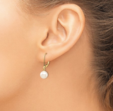 Matheu's 14K White Gold Round Freshwater Pearl Earrings XF725E